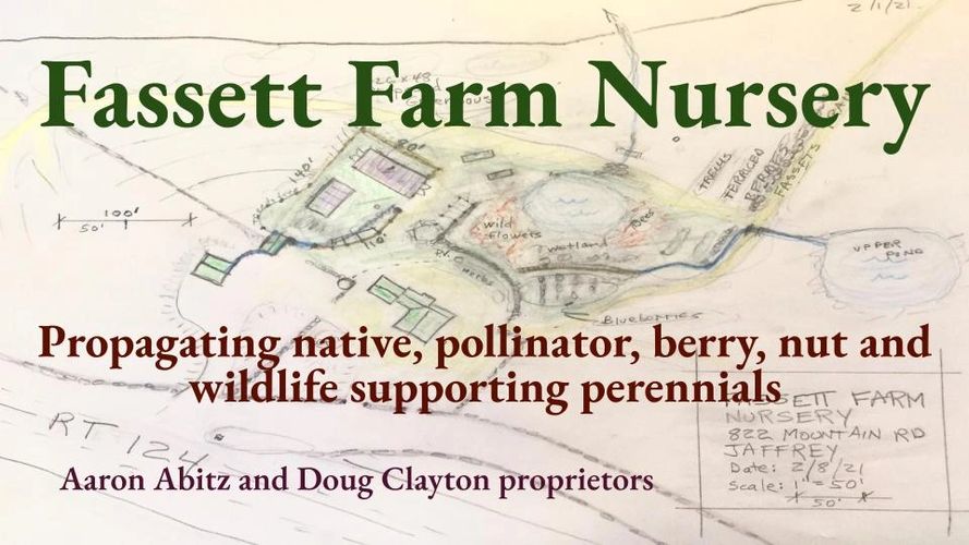 Fassett Farm Nursery